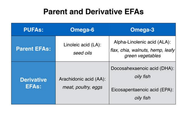 Multigenerational Vegetarians | Cancer and Heart Disease