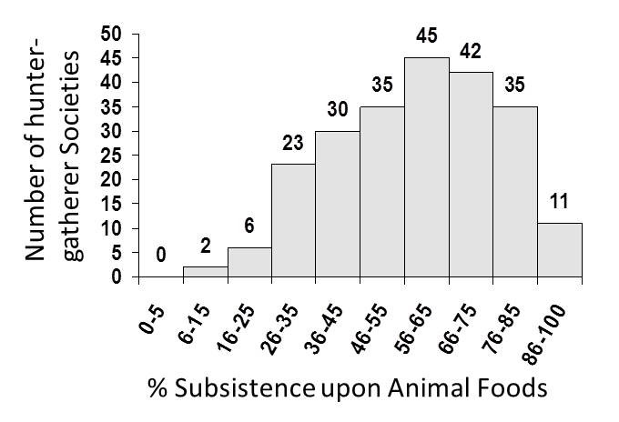 Animal Food Subsistence | The Paleo Diet