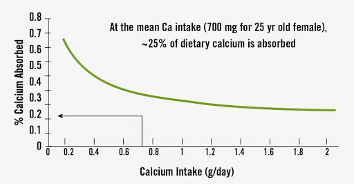 Evolution and High Protein Diets | The Paleo Diet