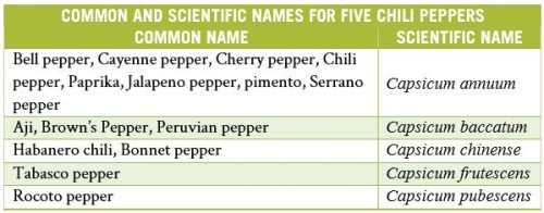 Common Scientific Names | The Paleo Diet