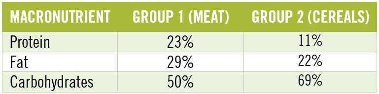 How Early Should Infants Eat Meat? | The Paleo Diet
