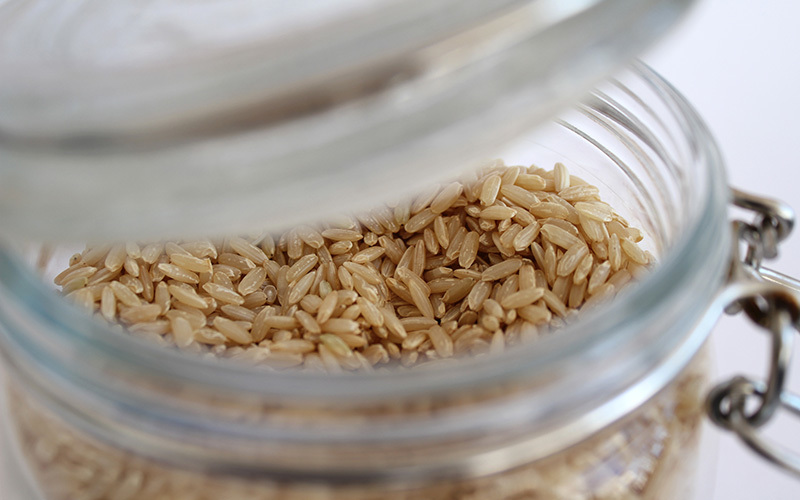 Cereal Grains | The Paleo Diet